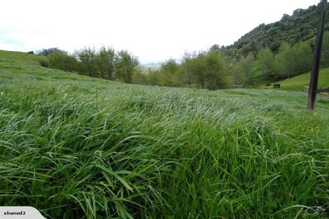 Photo of property in 225 Ngatitangata Road, Waihi, 3681