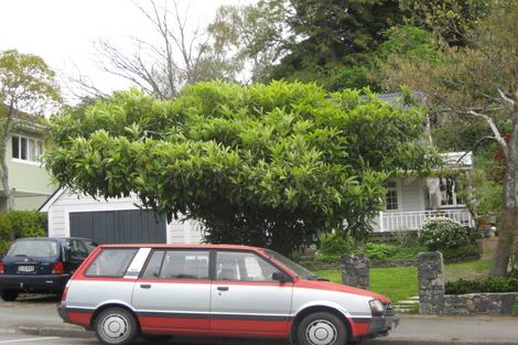 Photo of property in 190 Collingwood Street, Nelson, 7010