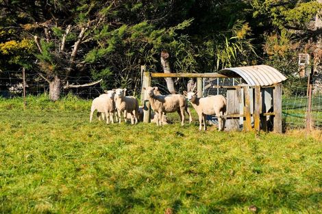 Photo of property in 8 Reeves Street, Cheviot, 7310