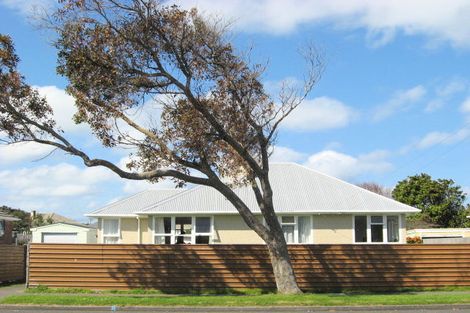 Photo of property in 109 Puriri Street, Gonville, Whanganui, 4501