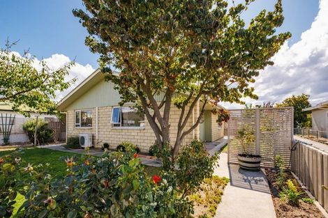 Photo of property in 50b Brandon Street, Alexandra, 9320