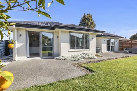 Photo of property in 1a Meehan Street, Islington, Blenheim, 7201
