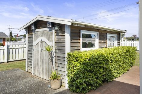 Photo of property in 390 Young Street, Te Awamutu, 3800