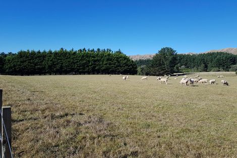 Photo of property in 210 Potts Road, Koputaroa, Levin, 5571