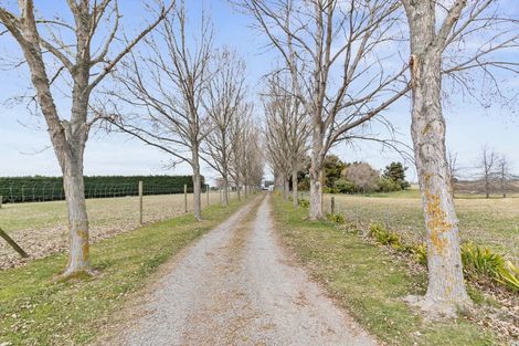 Photo of property in 63 Brasell Road, Pareora West, Timaru, 7972