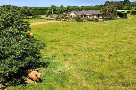 Photo of property in 550 Mclaughlins Road, Darfield, 7571