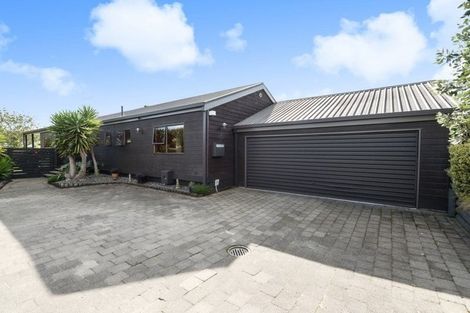 Photo of property in 22 Mcmeekan Avenue, Chartwell, Hamilton, 3210