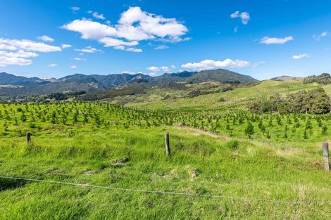 Photo of property in 183 Koutu Loop Road, Whirinaki, 0473