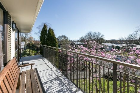 Photo of property in 12 Kaweka Place, Havelock North, 4130