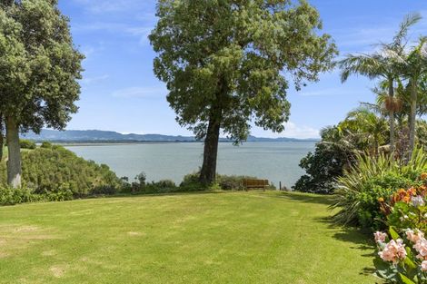 Photo of property in 311 Pahoia Road, Whakamarama, Tauranga, 3172