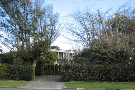 Photo of property in 6 Macarthur Street, Levin, 5510