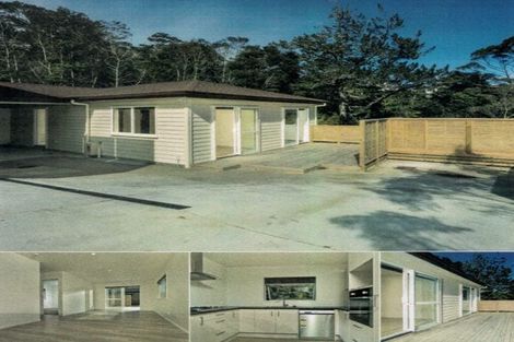 Photo of property in 43a Condor Place, Unsworth Heights, Auckland, 0632