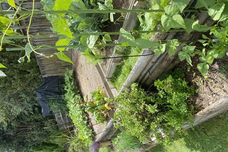 Photo of property in 35 Yorke Road, Haruru, 0204