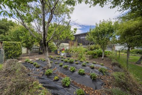 Photo of property in 49 Bligh Street, Te Anau, 9600