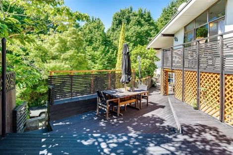 Photo of property in 16 Burns Road, Hospital Hill, Napier, 4110