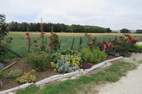 Photo of property in 12 Beach Road, Porangahau, 4293