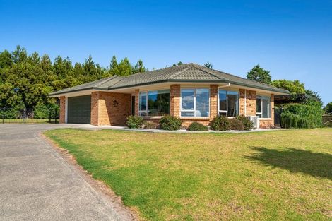 Photo of property in 7 Omana Avenue, Shelly Beach, Helensville, 0874