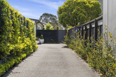 Photo of property in 65a Concord Avenue, Mount Maunganui, 3116