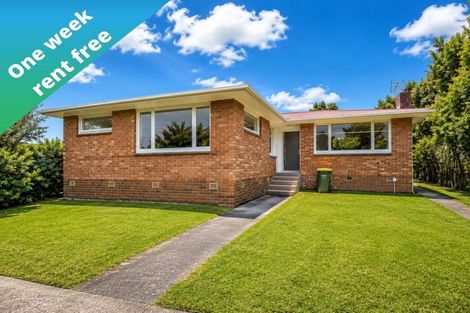 Photo of property in 24 Trojan Crescent, New Lynn, Auckland, 0600