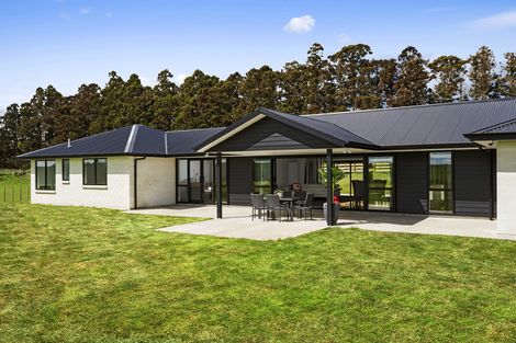Photo of property in 191 Whangamarino Road, Whangamarino, Te Kauwhata, 3782