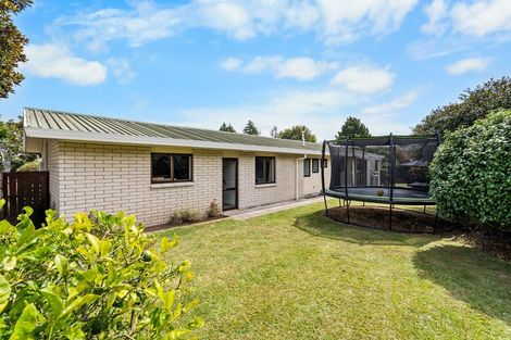 Photo of property in 12d Taylor Street, Cambridge, 3434