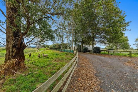 Photo of property in 253a East Bank Road, Edgecumbe, Whakatane, 3193