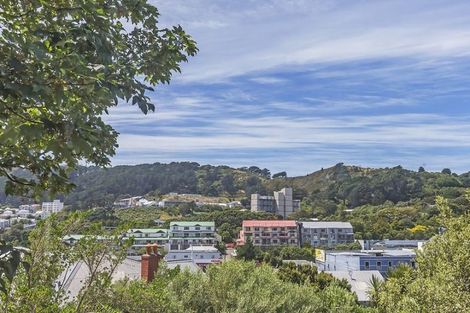 Photo of property in 95 Tasman Street, Mount Cook, Wellington, 6021