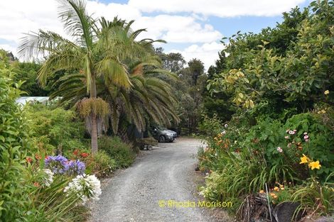 Photo of property in 318 Franklin Road, Paparoa, 0571