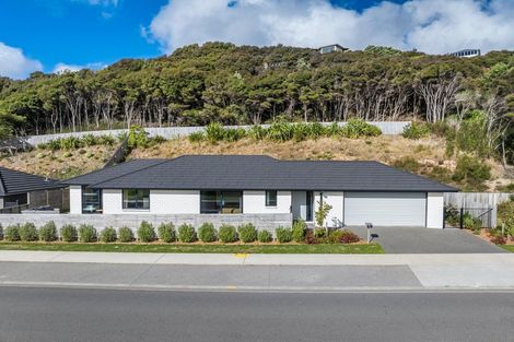 Photo of property in 45 Tradewinds Drive, Whitby, Porirua, 5024