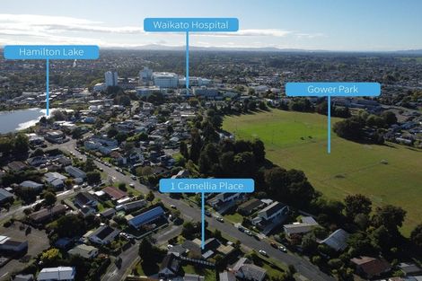 Photo of property in 1 Camellia Place, Hamilton Lake, Hamilton, 3204