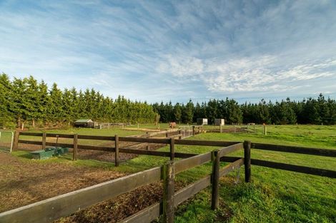 Photo of property in 237 Depot Road, Burnt Hill, Oxford, 7495