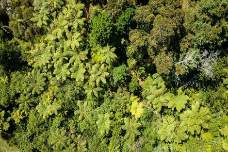 Photo of property in 67 Busby Road, Katikati, 3170