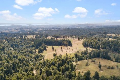 Photo of property in 1046 Work Road, Whakamarama, 3181