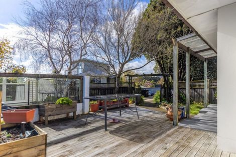 Photo of property in 146 Matai Road, Raumati Beach, Paraparaumu, 5032