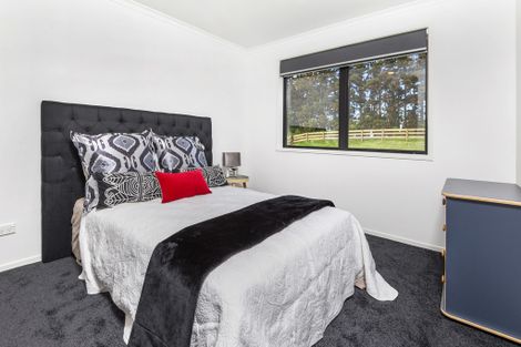 Photo of property in 191 Whangamarino Road, Rangiriri, Te Kauwhata, 3782