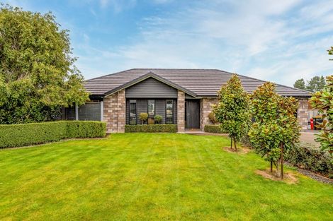 Photo of property in 13 Gimson Street, Solway, Masterton, 5810