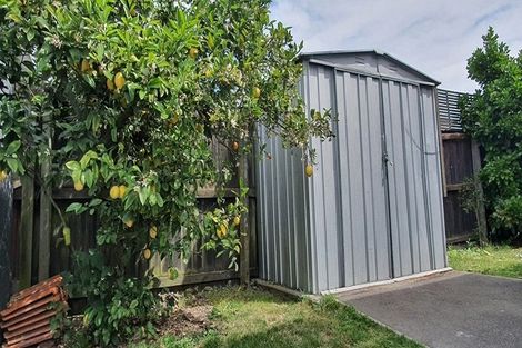 Photo of property in 38 Purchas Street, St Albans, Christchurch, 8014