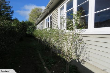 Photo of property in 14a Graham Street, Hamilton East, Hamilton, 3216