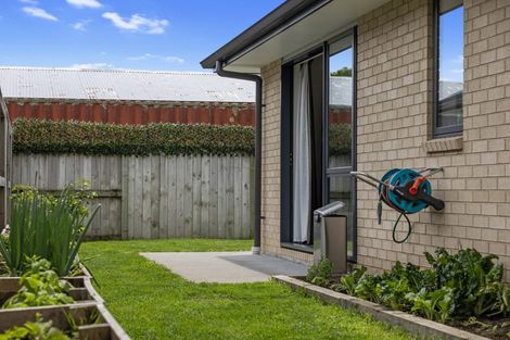 Photo of property in 55 Goodwin Crescent, Pyes Pa, Tauranga, 3112