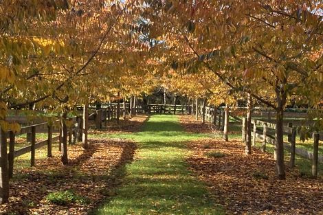 Photo of property in 125 Matangi Road, Matangi, Hamilton, 3284