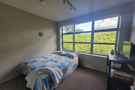 Photo of property in Revolucion Apartments, 307/28s Torrens Terrace, Mount Cook, Wellington, 6011