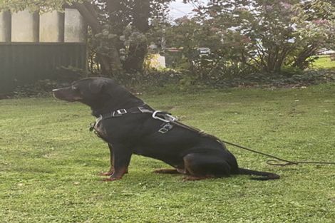 Photo of property in 66 Iles Road, Lynmore, Rotorua, 3010