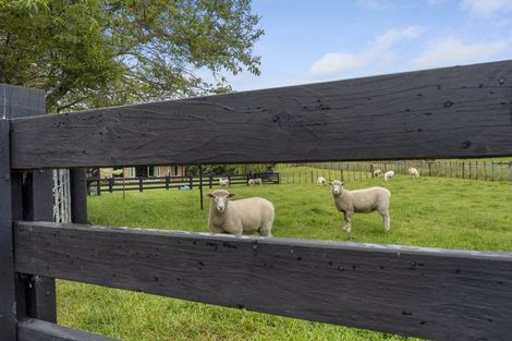 Photo of property in 271 Richmond Road, Lepperton, New Plymouth, 4373