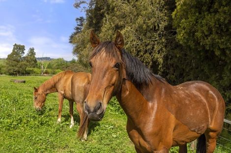 Photo of property in 11 Mangakino Road, Raglan, 3295