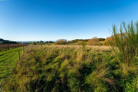 Photo of property in 50 Cliff Road, Tasman, Upper Moutere, 7173