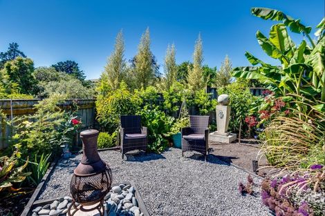 Photo of property in 82 Mchardy Street, Havelock North, 4130