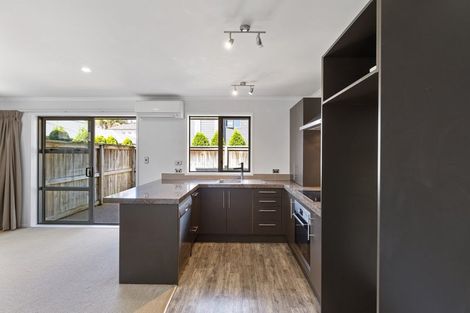 Photo of property in 17 Stadium Lane, Whitiora, Hamilton, 3200