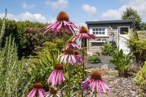 Photo of property in 56 Reservoir Road, Waihi, 3610