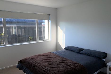 Photo of property in 65 Zabeel Street, Lincoln, 7608