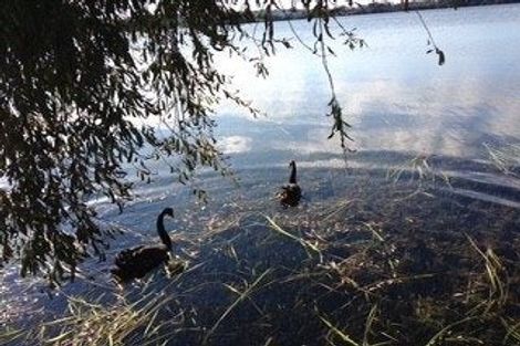 Photo of property in 41 Lake View Road, Takapuna, Auckland, 0622